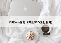 白城seo优化（专业SEO优化服务）