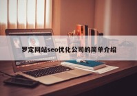 罗定网站seo优化公司的简单介绍