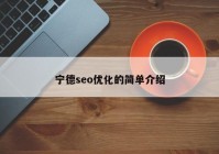 宁德seo优化的简单介绍