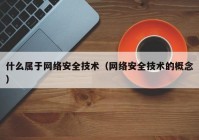 什么属于网络安全技术（网络安全技术的概念）