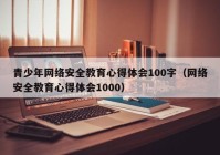 青少年网络安全教育心得体会100字（网络安全教育心得体会1000）