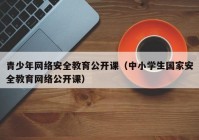 青少年网络安全教育公开课（中小学生国家安全教育网络公开课）